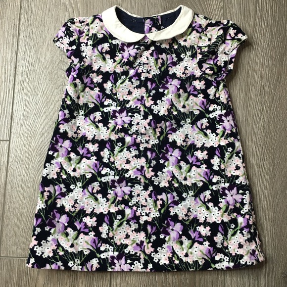 Janie & Jack Floral Short Sleeve Peter Pan Collar Velvet Dress Multi 18-24M - Picture 1 of 4